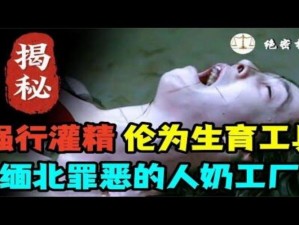 夜晚大炕上罪恶【夜晚大炕上的罪恶：探究人性的黑暗与沉沦】