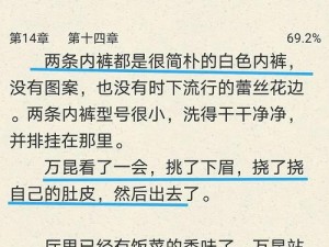 公车上拨开被内裤进入小说：公交痴汉私密小说