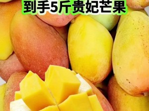 1000部芒果台禁止入内-1000 部芒果台禁止入内，究竟为何？