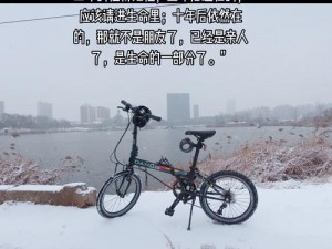 天启之门：乔乔与余佳佳的未知关系揭秘：从友情到爱情的探险旅程