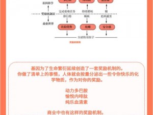 秒排感受：探讨OW匹配与组队机制的运行逻辑及其影响