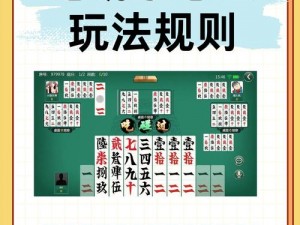 《新手入门：跑胡子游戏全攻略教程》