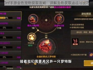 Dnf手游金色宠物获取攻略：详解宠物获取途径与技巧