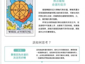 塔罗牌答案之书揭秘：探索命运之轮的奥秘与指引之途