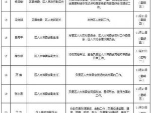 代号伙伴上线时间公布：详探新游上线日程安排揭秘