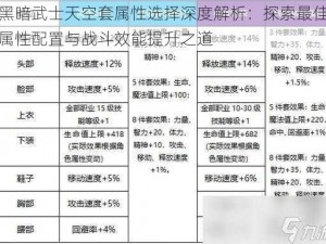 黑暗武士天空套属性选择深度解析：探索最佳属性配置与战斗效能提升之道