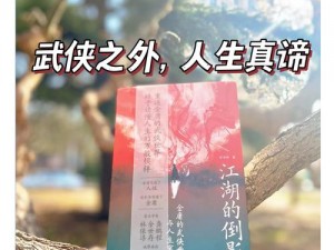 江湖人生幻彩明瞳：解读武林世界的多彩人生与智慧洞察