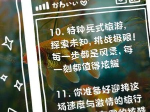 你过来呀探索乐趣无限：一场别开生面的互动冒险之旅简介