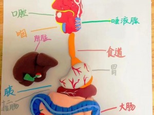 生物课的教具实用的选择【如何选择生物课上实用的教具？】