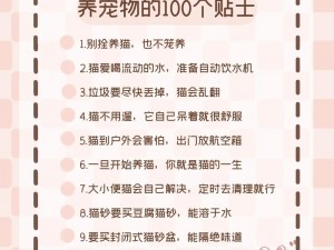 以宠物猫繁殖一年收益为核心，全面探讨的致富之路