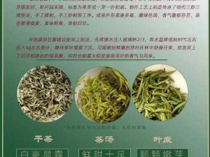 蜀山初章蒙顶甘露茶获取秘法：采摘制作流程与高质量资源探寻指南