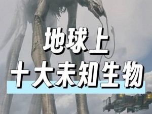 探索自然奥秘：陆行鸟羽毛的神奇生产之道与创造魔法的交融点