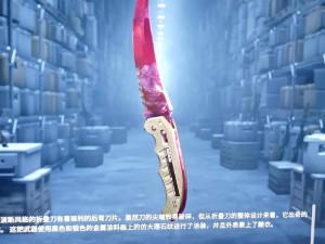 暴躁老阿姨如何玩转CSGO最新版本？【暴躁老阿姨如何玩转 CSGO 最新版本？】