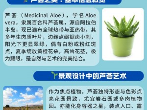 江湖悠悠芦荟百科全书：神秘植物的形态、功能与药用价值深度解析