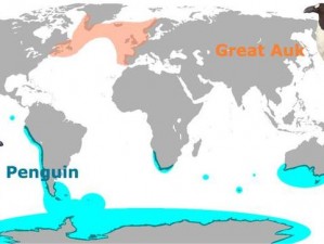 探寻企鹅家园：全球各地企鹅位置分布详解