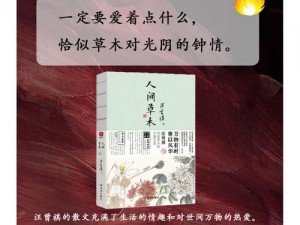 又色又爽又黄——成人小说，让你欲罢不能