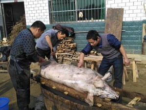 黑土躺床上流白色分泌物-黑土为什么躺床上流白色分泌物？