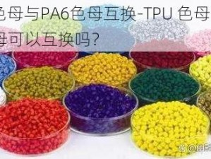 TPU色母与PA6色母互换-TPU 色母和 PA6 色母可以互换吗？