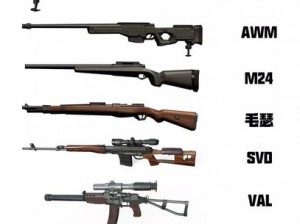 荒野行动MP5枪支类型详解：了解MP5所用弹药知识