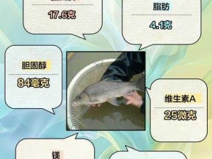 女人绝技鲤鱼喝水【女人绝技大揭秘：鲤鱼喝水是如何做到的？】