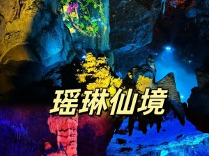 仙踪林入口视频欢迎你【欢迎来到仙踪林，入口视频等你观赏】