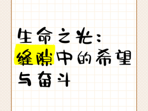 万物皆有缝隙，恰是光影交汇之处：追寻生命中的启示与希望