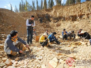 侠客矿石采集胜地概览：探寻你的最佳采集位置之旅