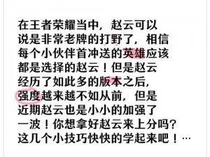 王者荣耀赵云连招技巧深度解析：赵云连招公式详解与实战应用指南