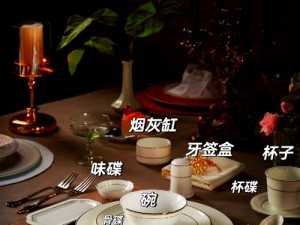 帕夏时代购入餐具的使用指南：开启优雅餐桌的秘诀