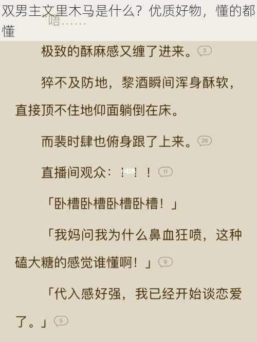 双男主文里木马是什么？优质好物，懂的都懂