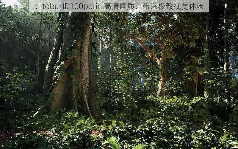 ：tobuHD100porin 高清画质，带来极致视觉体验