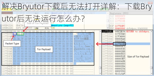 解决Bryutor下载后无法打开详解:下载Bryutor后无法运行怎么办?