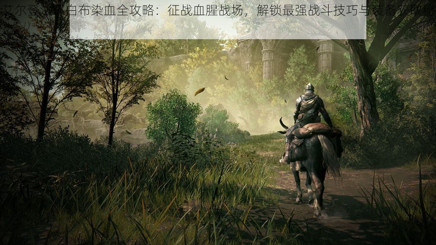 艾尔登法环白布染血全攻略:征战血腥战场,解锁最强战斗技巧与装备获取秘籍