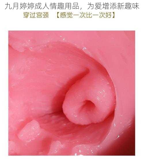 九月婷婷成人情趣用品，为爱增添新趣味