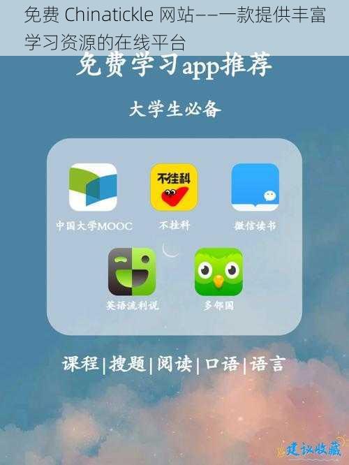 免费 Chinatickle 网站——一款提供丰富学习资源的在线平台