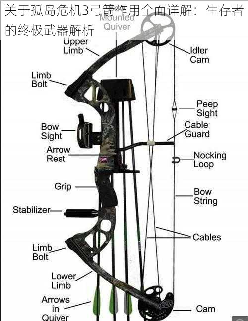 关于孤岛危机3弓箭作用全面详解：生存者的终极武器解析