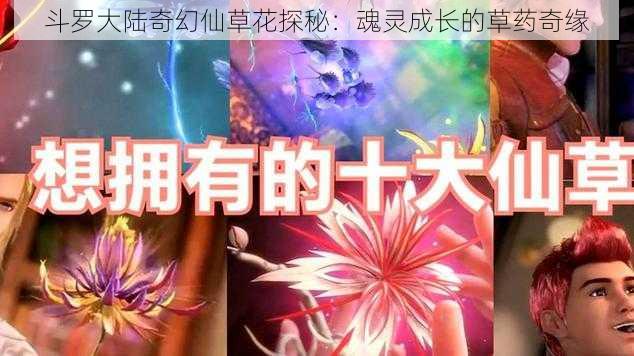 斗罗大陆奇幻仙草花探秘：魂灵成长的草药奇缘