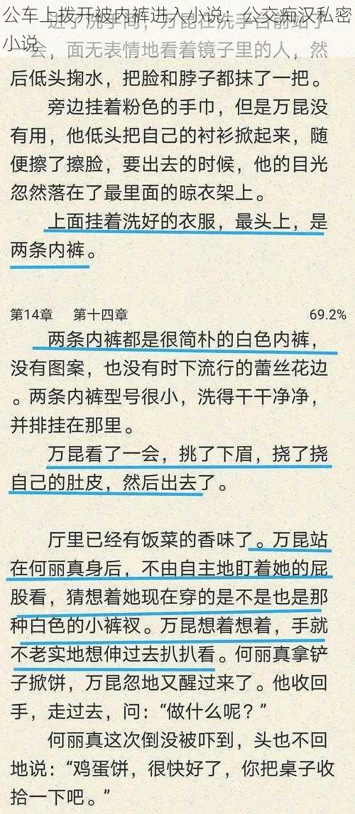 公车上拨开被内裤进入小说：公交痴汉私密小说