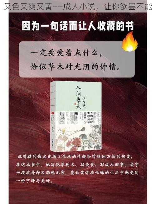 又色又爽又黄——成人小说，让你欲罢不能