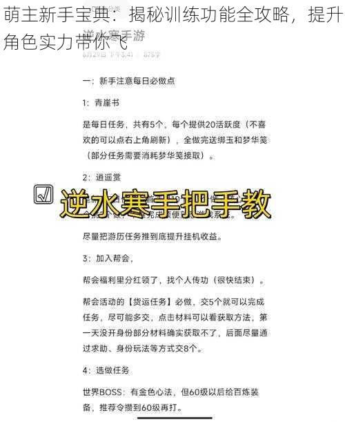 萌主新手宝典：揭秘训练功能全攻略，提升角色实力带你飞