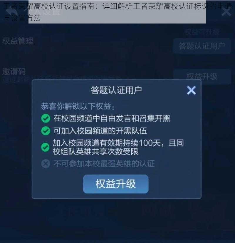 王者荣耀高校认证设置指南：详细解析王者荣耀高校认证标识的申请与设置方法