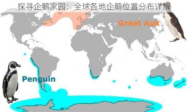 探寻企鹅家园：全球各地企鹅位置分布详解