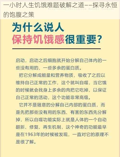 一小时人生饥饿难题破解之道——探寻永恒的饱腹之策