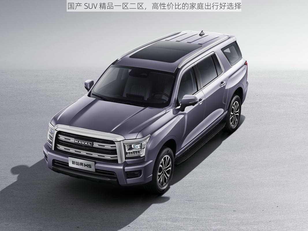 国产 SUV 精品一区二区，高性价比的家庭出行好选择