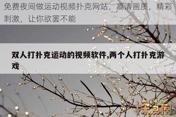 免费夜间做运动视频扑克网站，高清画质，精彩刺激，让你欲罢不能