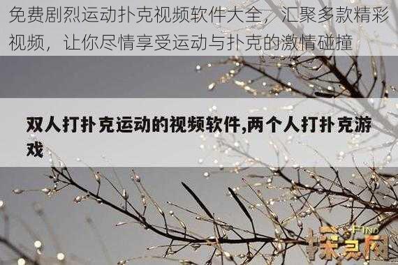 免费剧烈运动扑克视频软件大全，汇聚多款精彩视频，让你尽情享受运动与扑克的激情碰撞