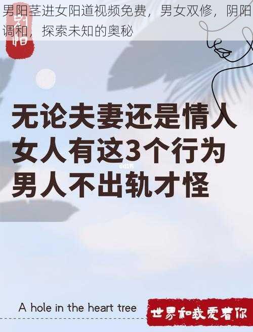 男阳茎进女阳道视频免费，男女双修，阴阳调和，探索未知的奥秘