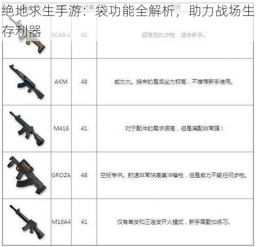 绝地求生手游：袋功能全解析，助力战场生存利器