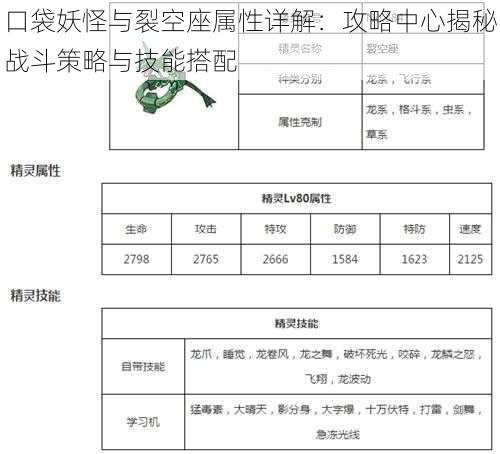 口袋妖怪与裂空座属性详解：攻略中心揭秘战斗策略与技能搭配