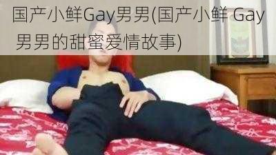 国产小鲜Gay男男(国产小鲜 Gay 男男的甜蜜爱情故事)